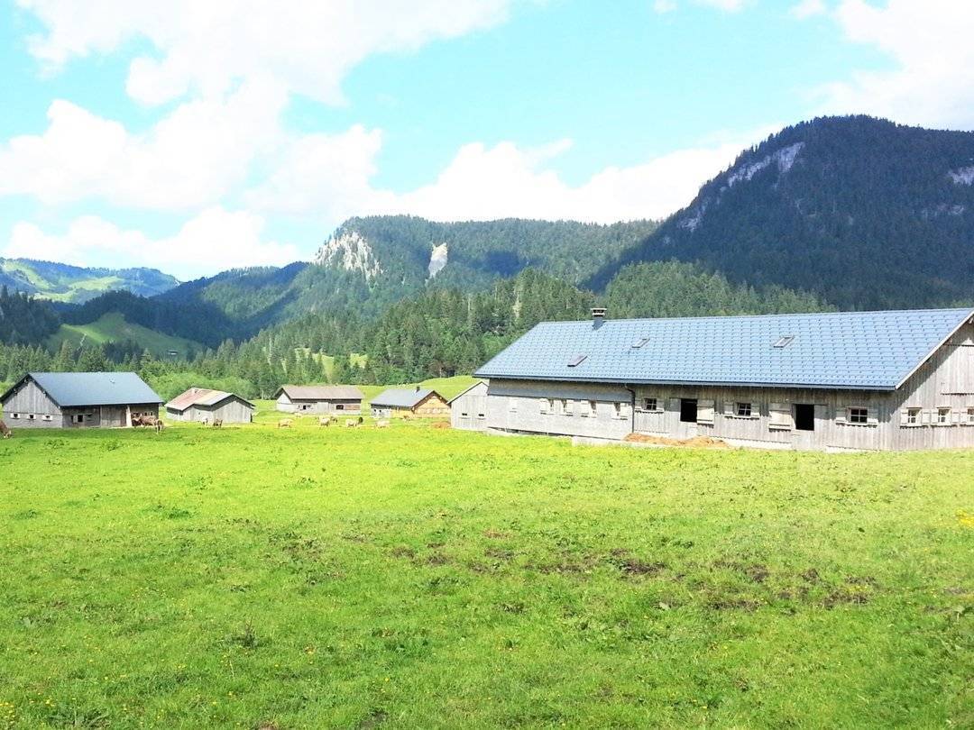 almhuetten in einem alpental - Vorsäß Schönenbach